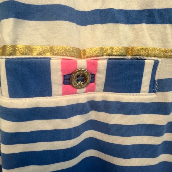 Lilly Pulitzer Lena Lapis Blue Tiki Stripe dress Sz Small - Picture 5 of 8